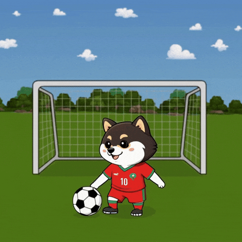 Sport Shiba GIF by Manyu