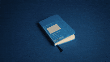 Sailing GIF by Rogier Wieland Studio