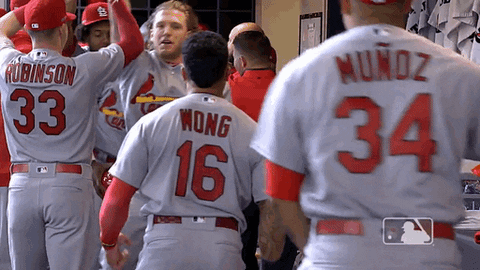 St Louis Cardinals Funny GIFs