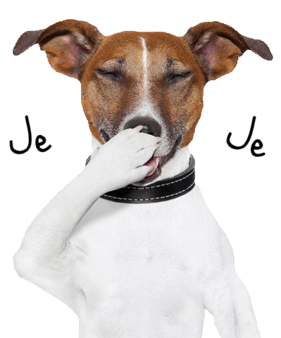 Dogston Sticker