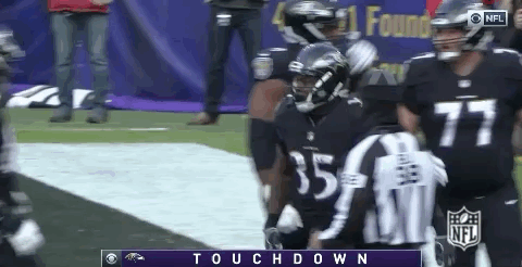 2018 nfl football GIF by NFL