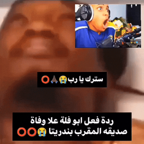 بندريتا GIF