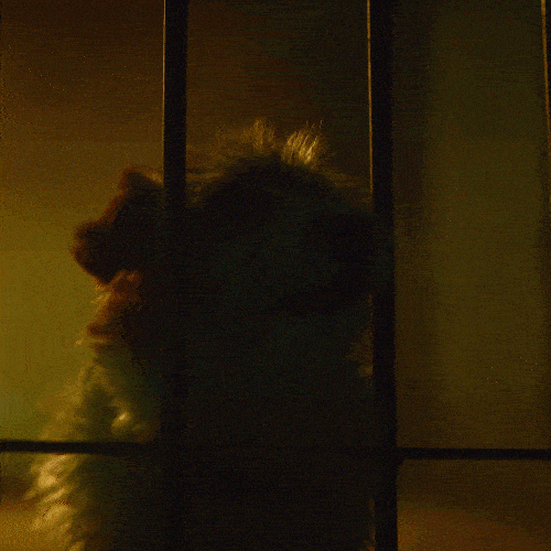 colchonespiero GIF