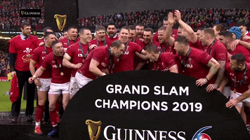 Celebrate Rugby Union GIF by Guinness Six Nations