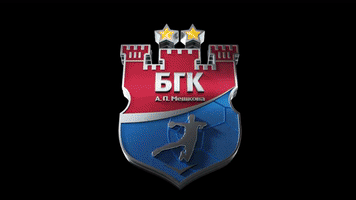 Handball Bgkmeshkova GIF by HC Meshkov Brest