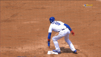 Happy Chicago Cubs GIF by NBC Sports Chicago