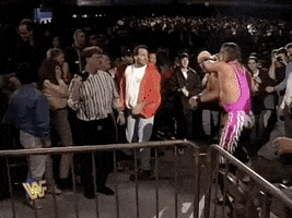 Bret Hart Wrestling GIF by WWE