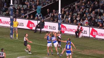 mark pafc GIF by Port Adelaide FC