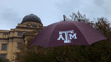 raining texas am GIF by Texas A&M University