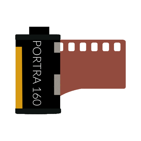 Kodak Analog Photography Sticker by Pellicola Magazine