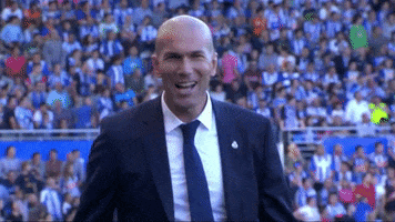 la liga coach zidane GIF by Real Madrid