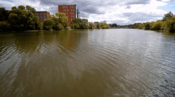 200.gif?cid=fc005b08e87c81353c901ddf91d59b6e401555f58698ec10&rid=200.gif&ct=g