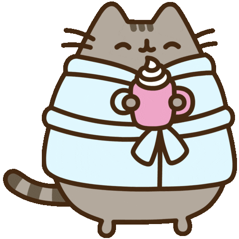 pusheen hot cocoa plush