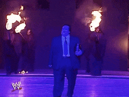 Wrestlemania Xx Sport GIF by WWE