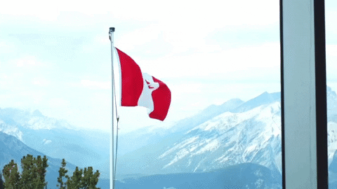 Sulphur Mountain Flag GIF by Chris - Find & Share on GIPHY