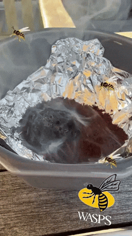 Summer No GIF