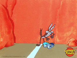 Wile E Coyote Art GIF by Looney Tunes