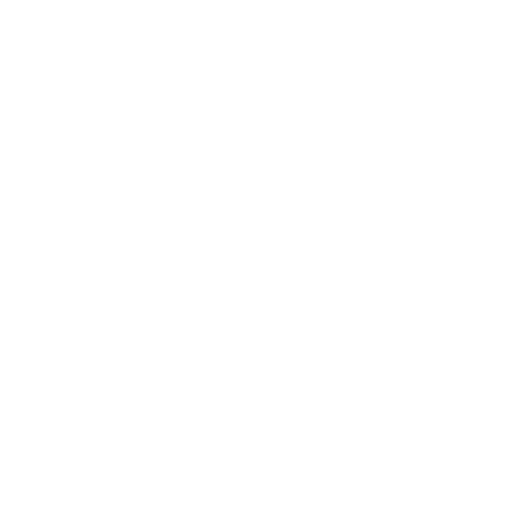 LVLY Sticker