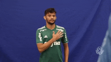 gustavo scarpa goal GIF by SE Palmeiras
