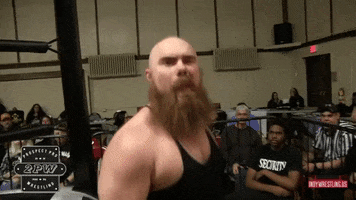 Pittsburgh GIF