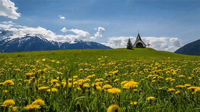 Time Lapse Austria GIF by Digg - Find & Share on GIPHY