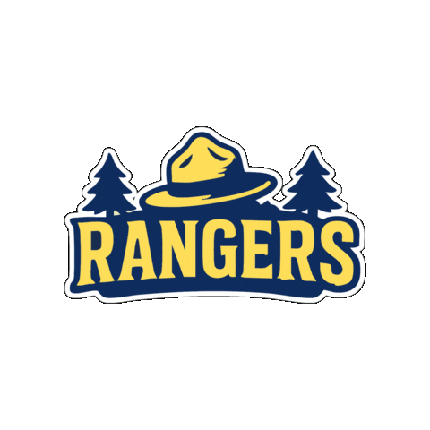 Rangers Sticker by Peak Elite Cheerleading