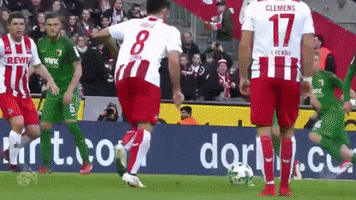 milos jojic goal GIF by 1. FC Köln