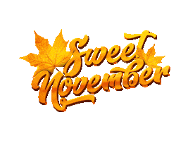 zoom november Sticker