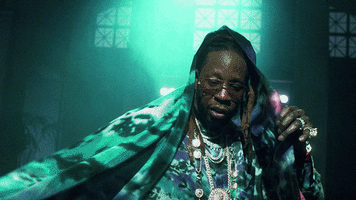 GIF by 2 Chainz