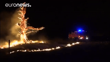 fire wildfire GIF by euronews