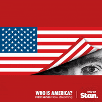 who is america only on stan GIF by Stan.