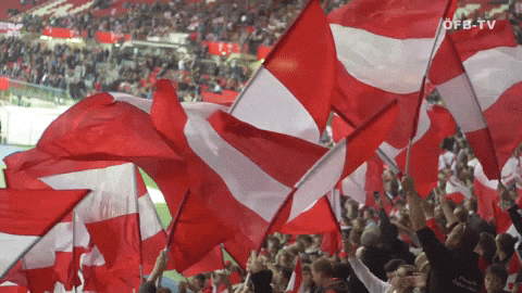 northern ireland football GIF - northern ireland football GIF