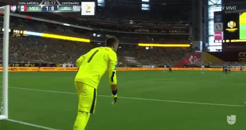 Goal Kick Gifs Get The Best Gif On Giphy