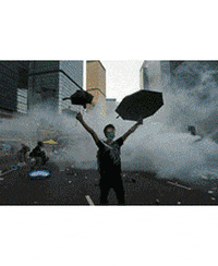 equip geographyf GIF