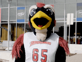200.gif?cid=fc005b08dd153b4ac5230ca3654a6e1bd8995fab2c263148&rid=200.gif&ct=g