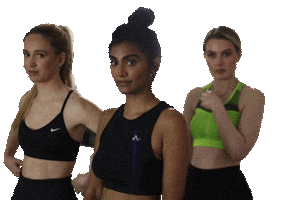 Basebox Studio Sticker