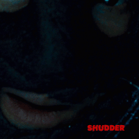 the collector horror GIF by Shudder
