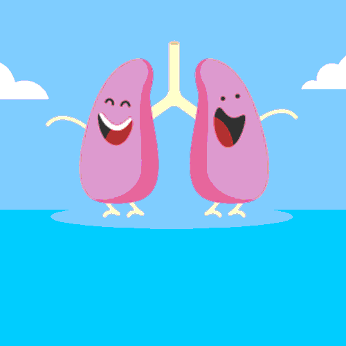 Lungs GIF
