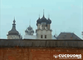 Bitcoin Funny Cucduong.Info GIF