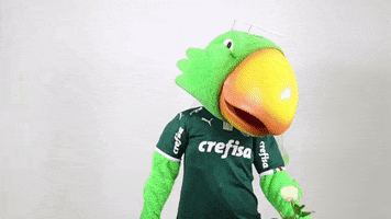 valentines day flowers GIF by SE Palmeiras