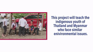 thailand environment GIF