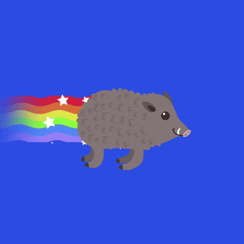 Wild Boar Fly GIF by Nomadic Agency