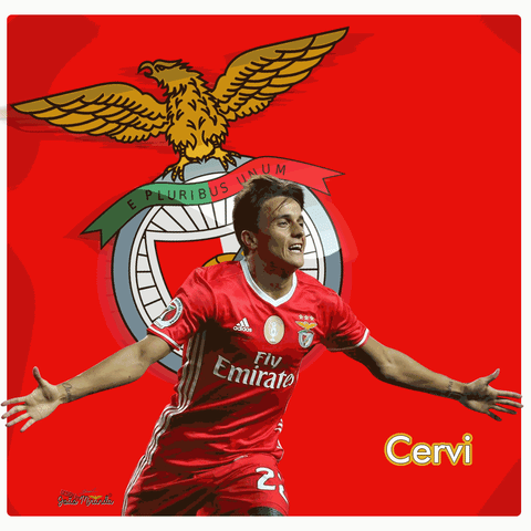 Benfica GIF