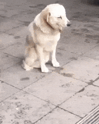 200w.gif?cid=82a1493b1e65e6gx081fx4p1rn0