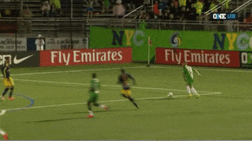 New York Cosmos Goal GIF by ONE World Sports