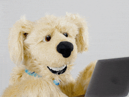 Hardly Working Smile GIF by HIF Australia