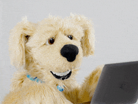 Dog GIFs  POPSUGAR Tech
