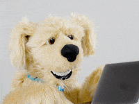 working hard or hardly working gif