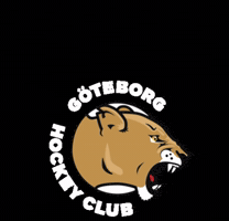 Hockey Club GIF