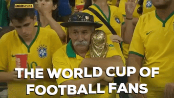 world cup fans GIF